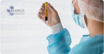 Servicio por Prestador